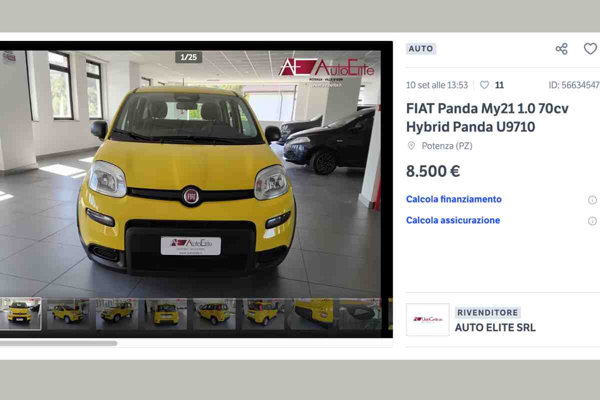 Panda a 8000 euro 