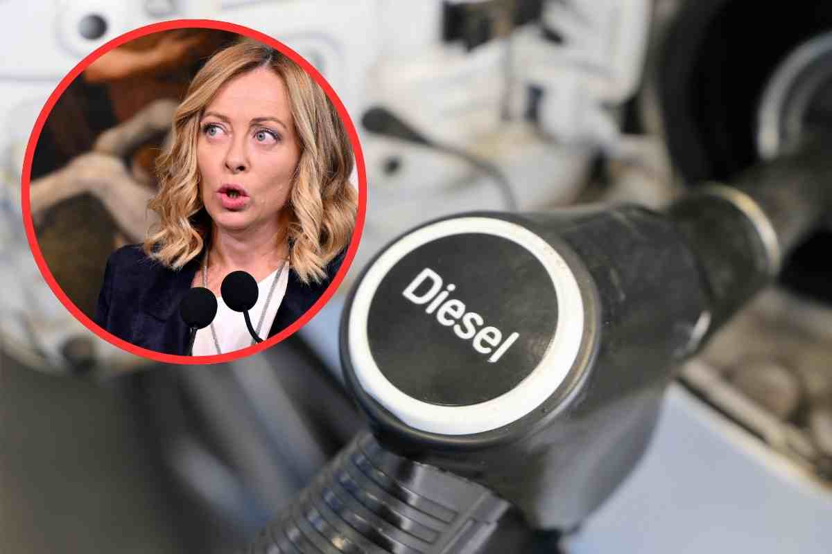 giorgia meloni diesel