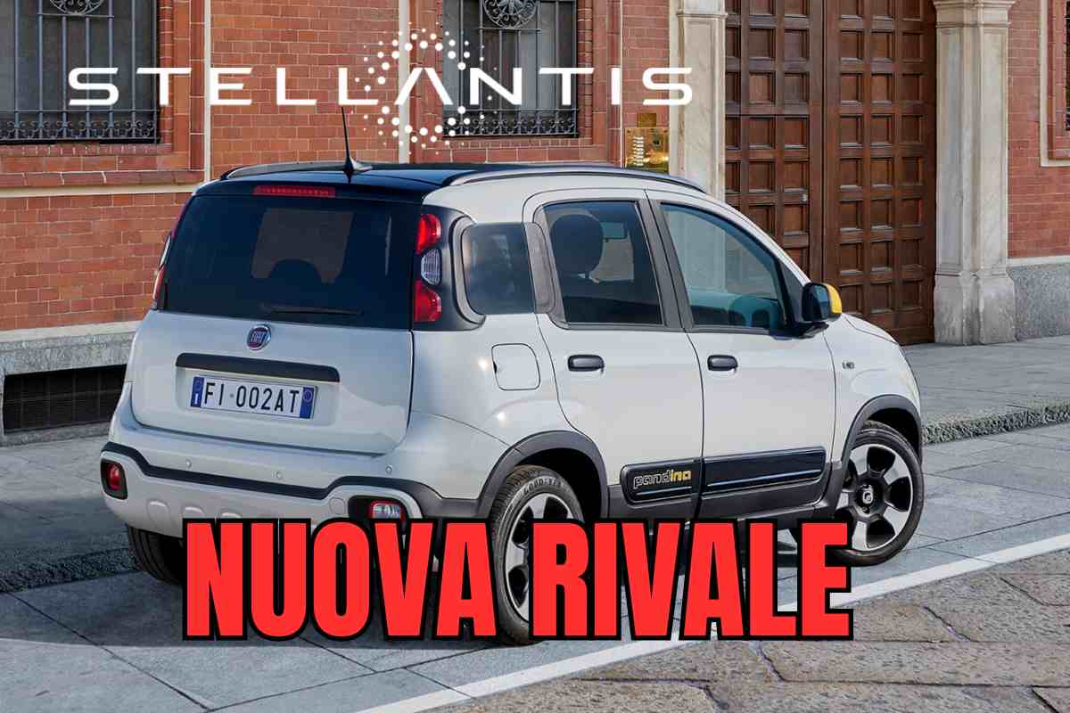 fiat panda 