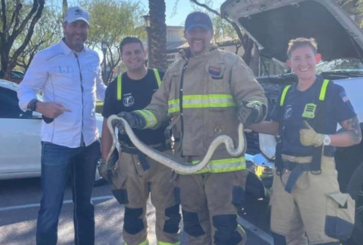 Arizona, boa constrictor sotto al pick-up