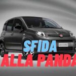 Panda prezzo stracciato