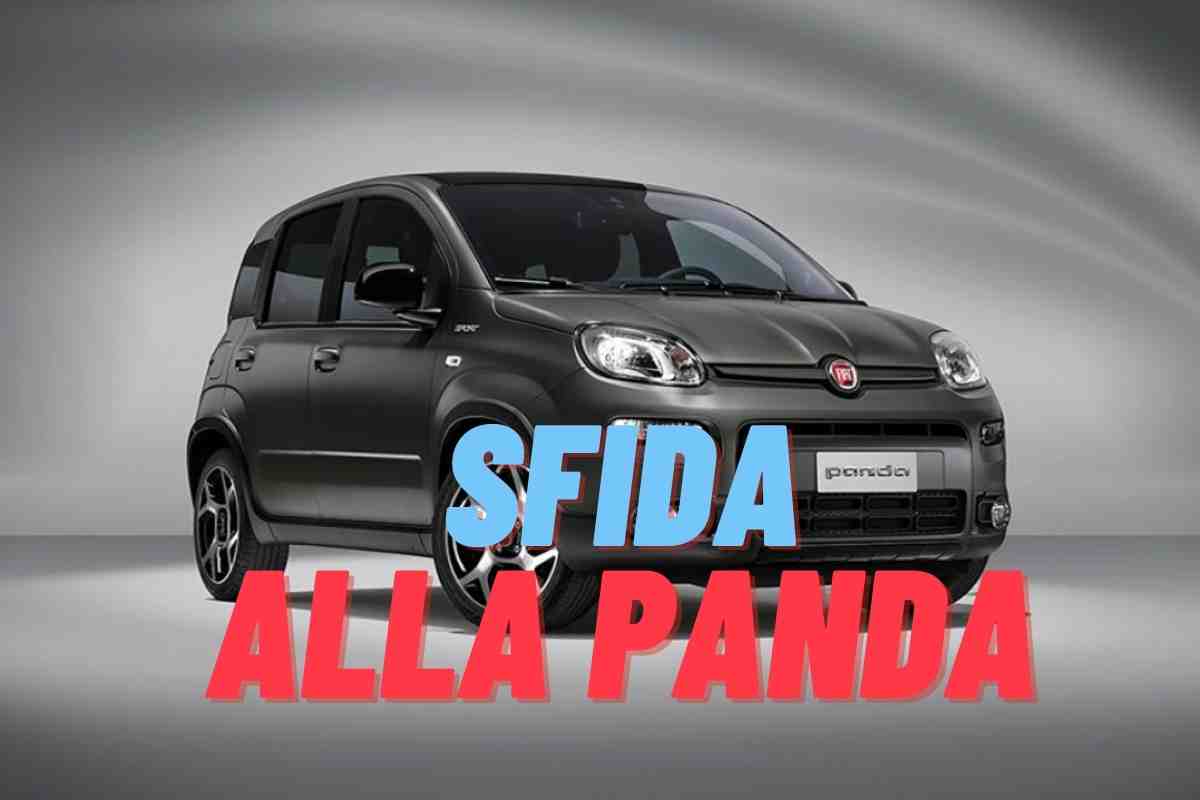 Panda prezzo stracciato