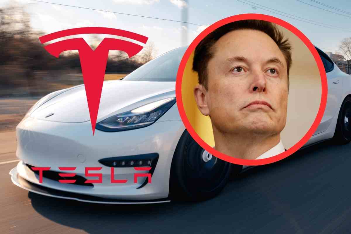 tesla elon musk 