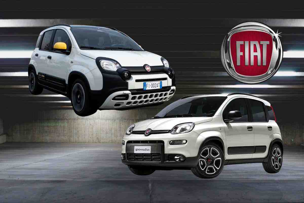 La differenza tra FIAT Panda e Pandina