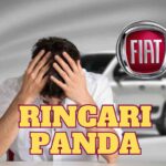 Rincari Panda