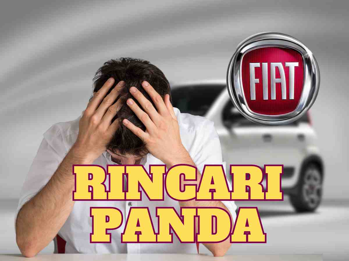 Rincari Panda