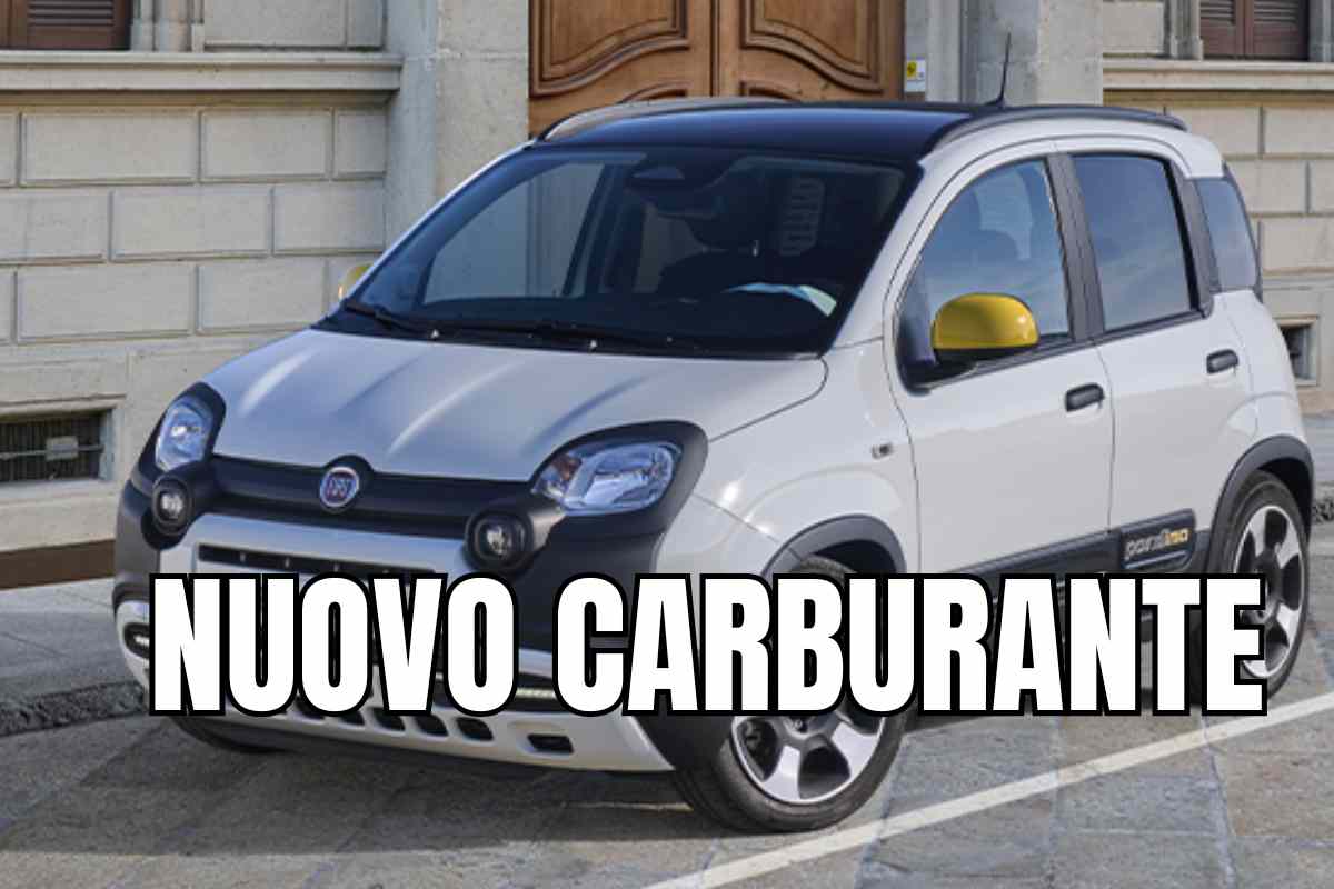 fiat panda